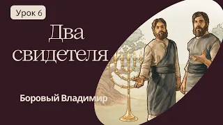 СУББОТНЯЯ ШКОЛА. ОБЗОР 6  УРОКА |Два свидетеля| БОРОВЫЙ ВЛАДИМИР