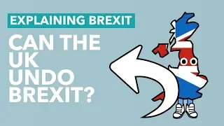 Can the UK Undo Brexit & Stay in the EU? - Brexit Explained