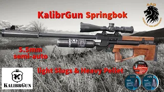 Kalibrgun Springbok 5 5mm testing Light Slugs & Heavy Pellet