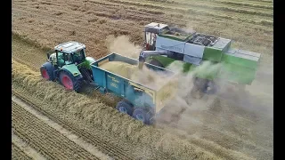 Fortschritt E 514, E 517 Lexion 550, ZD Žižkovo Pole (Šumfeld) CZ 2019