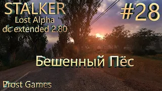 S.T.A.L.K.E.R.: Мод lost alpha DC extended V2.80.  Бешенный Пёс.#28