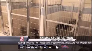 Petition To Make Ohio's Animal Abuse Laws Tougher