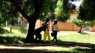 BEST GORILLA & BUSHMAN PRANKS