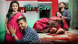 Tere Bina |Husband Vs Wife Arranged Marriage Love Story |Pregnant Sad Love Story| Back Of Love