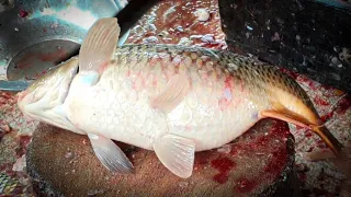 Never Seen || Giant Carp Fish Cutting Live In Fish Market | Big Carp Fish Cutting Skills