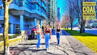 Vancouver Walk 🇨🇦 - Cherry Blossom Hunt on Chilco & W Georgia 🌸