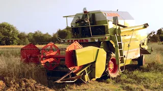 CLAAS DOMINATOR 48 on Ukrainian lands Комбайну 35 років,а він як новий!