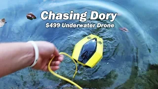 Chasing Dory - $499 Underwater Drone Review