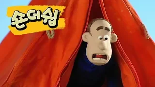 혼돈의 캠핑 - 숀 더쉽 [Shaun the Sheep Korea | Full Episode]