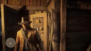 Red Dead Redemption 2 - How to find a harmonica for Sadie Adler (Side-quest)
