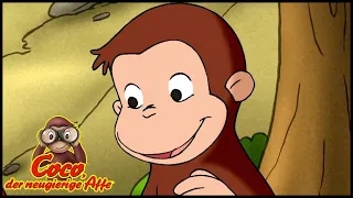 Coco der Neugierige Affe Deutsch🐵Coco rettet einen kleinen Fisch  🐵Ganze Folgen🐵Cartoons für Kinder