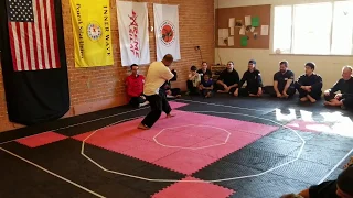 Pencak Silat Inti Ombak demo