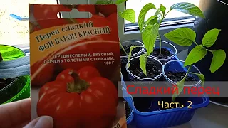 Перец сладкий часть 2