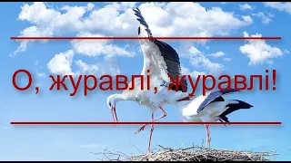 O, журавлі, журавлі! | Християнська музика