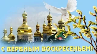 ВЕРБНОЕ  ВОСКРЕСЕНЬЕ.  Поздравление с Вербным Воскресеньем.  Праздник Вербное Воскресенье