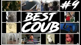 Best Coub # 9 / Best funny compilation 2018 / Лучшие приколы за июнь 2018