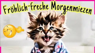 Guten Morgen 🌞 Mit lustigen Grüßen & verrückten Vierbeinern zum Teilen 😻