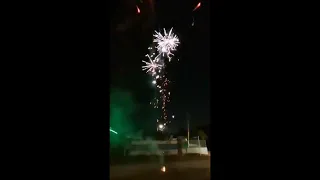 100 Shot Flying Dragon #fireworks