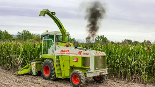 Claas Jaguar 695 Mega + 6 Row Bar | Silage