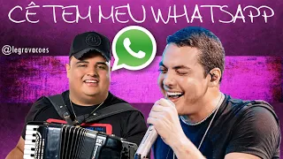 TARCISIO DO ACORDEON E WESLEY SAFADÃO   CÊ TEM MEU WHATSAPP LIVE TBT