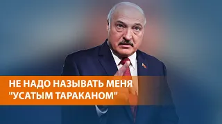 Протесты и аресты по всей Беларуси: набирает силу акция "Лукашенко не мой президент"