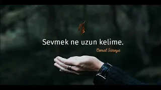 Cemal Süreya - Sevmek Ne Uzun Kelime - Sen Gelsen