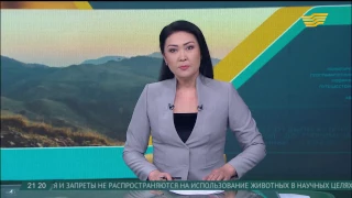 На заседании Совбеза ООН Казахстан выразил озабоченность действиями КНДР