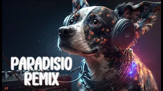 Paradisio - Bailando (KR RMX) #dance #music #boom