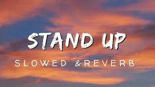Stand up for champions |slowed and reverb | #trending |||