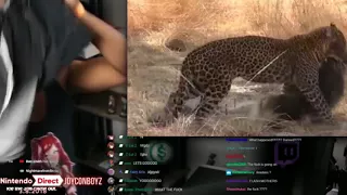 Etika Reacts to a Leopard killing Baboon