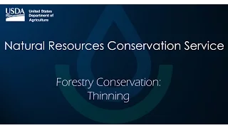 Forestry Conservation: Thinning