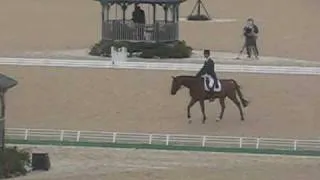 William Fox-Pitt: Rolex 2010 Dressage