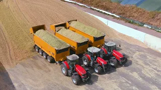 Mais 2022 : 3x USA Equipment 4 axle trailers | Vreba Dairy | Massey Ferguson | Claas Jaguar 990 | 4K