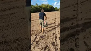 Plantando Milho com a Plantadeira Adubadeira de Empurrar da ALL AGRI - Dia de Lida