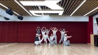 [MIRROR] TWICE ''FEEL SPECIAL'' Dance Practice COMPLETE ver. (9 ver.)