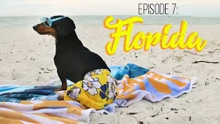 Episode 7: Florida Fun, Guest Appearance from Oakley & Paisley