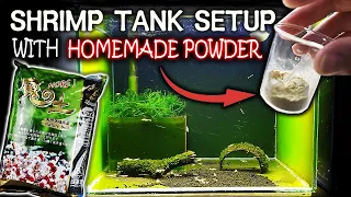 Shrimp Tank Setup with Homemade Bacterial Powder (Caridina)