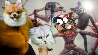 СИРЕНОГОЛОВЫЙ МАКС и МУЛЬТЯШНЫЙ КОТ съели КРОЛИКА УБИЙЦУ! Siren Head Cartoon Cat, Dog Валеришка Макс