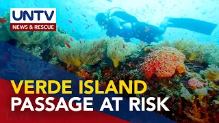 Mindoro oil spill heads to Verde Island Passage; threatens center of world marine biodiversity