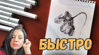 Мастер-класс: Как научиться рисовать за 15 минут. Секреты профессионала #inkart   #pendrawing