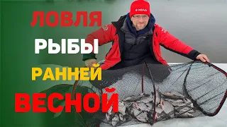 ловля ранней весной