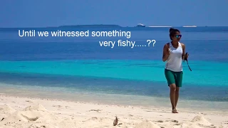 Easy fishing | maldives |