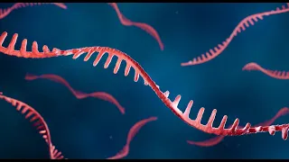 Single Molecule Sequencing: Epitranscriptomics