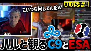 【ALGS観戦】撃ち合い最強のESAと安定のC9のやり取りを楽しそうに観戦するハル!!【日本語字幕】【Apex】