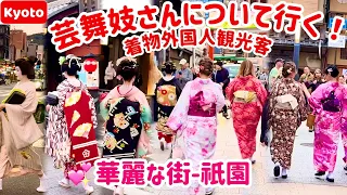 Foreign tourists wearing kimono follow geisha and maiko! Brilliant city - Gion, Kyoto, Japan!