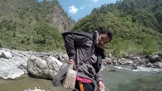 ASALA FISHING IN NEPAL | CAST-NET FISHING | FISHING HIMALAYAN TROUT |