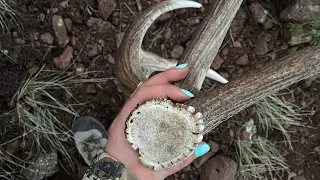 Shed Hunting New Mexico | 2023