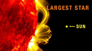 Largest Stars Comparison in 3D!