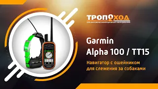 Garmin Alpha 100 - Устройство слежения за собаками - Первая серия. Обзор устройства.