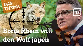 Wolfs-Jagd bleibt nach EU-Richtlinie weiterhin verboten. Und jetzt? | hessenschau DAS THEMA